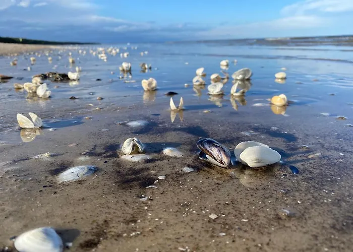 Kapitaensweg 30 別荘